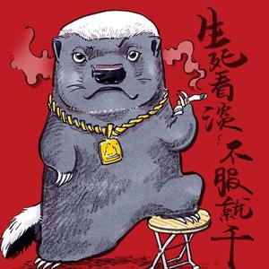 蜜獾故事
