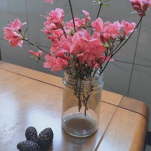 你我他日常 头像