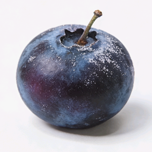 开心的蓝莓 头像