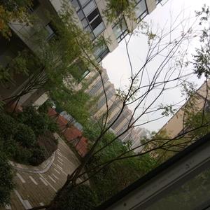 自由多米尼克9F3r 头像