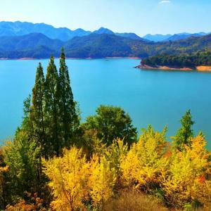 长三角文旅 头像