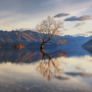 幽默人生百态笑看人生 头像