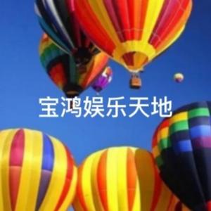 宝鸿娱乐天地 头像