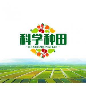 科学种田 头像