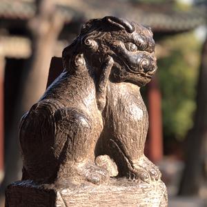 襄阳古地乐 头像