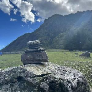 张大懒同学 头像