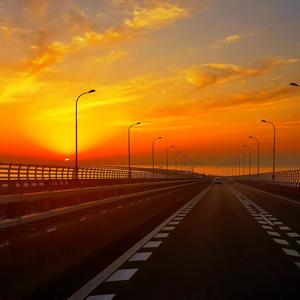 东西南北到处跑 头像