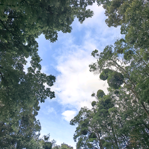 好好学习天天向上 头像