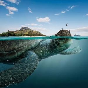 非凡暖阳8R 头像