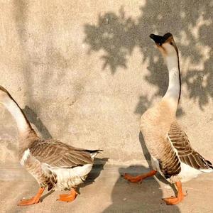 沂蒙拍客团 头像