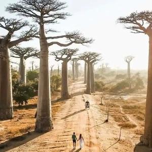 用户白雪居土 头像