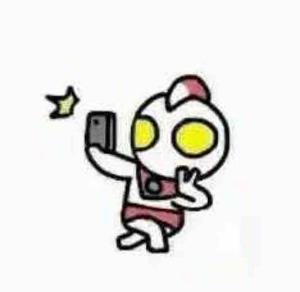 不酸不甜柠檬茶 头像