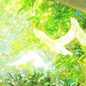 执着的原野 头像