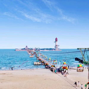 北戴河民宿美琪家 头像