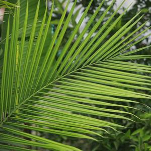 高三干货君 头像