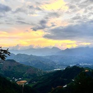 王大爷爱养生 头像