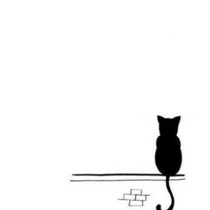 王木木2237 头像