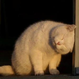 一杯咸豆汁儿