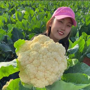 『乐众青山』妮儿姐 头像