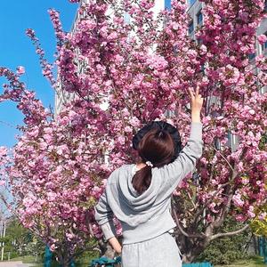 一缕阳光gN 头像