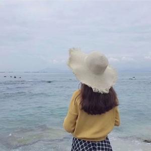 聪明的饭团 头像