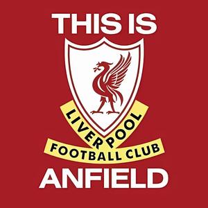 导演我坐哪儿 头像