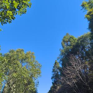 青涩钢笔1v 头像