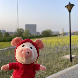 爱喝奶茶的糖糖呀 头像