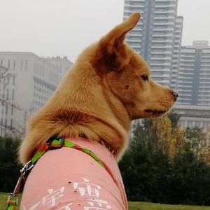 就是一句话 头像