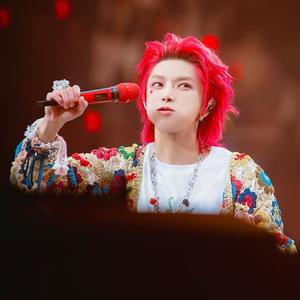 向阳而生的青藤 头像