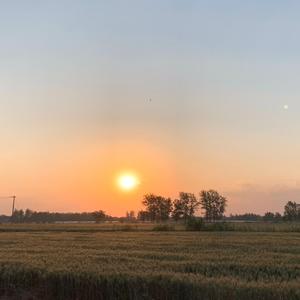 小张张的春夏秋冬 头像