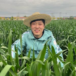 小峰趣生活（麻酱鸡蛋11月6下午4点专场 头像