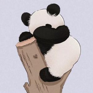 迪友一家 头像