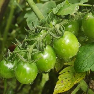 武汉土老帽说教育 头像