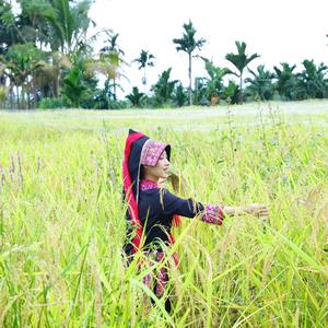 Daisy160234791 头像