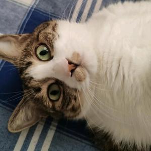 姜姜说事儿 头像