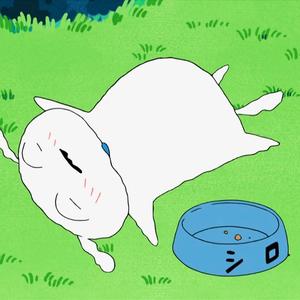 小白i分享 头像