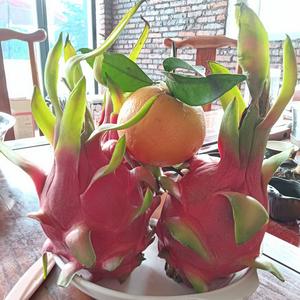 坦荡的清风9R 头像