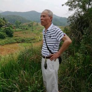 草药黄晓敏