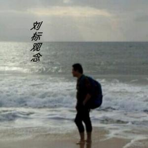 刘标观念 头像