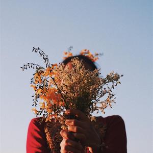 沧海桑田79840 头像