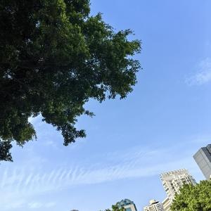 自强不息火车t6d 头像