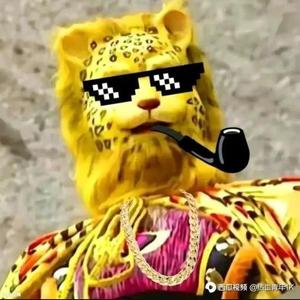 随行天下啊 头像