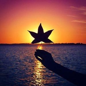 肥猫的日记 头像