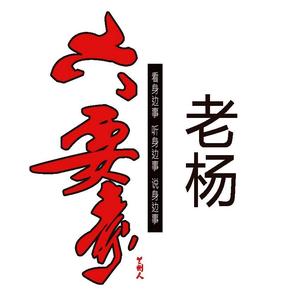 老杨六要素 头像