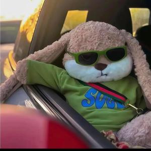 暴富芝士青年 头像