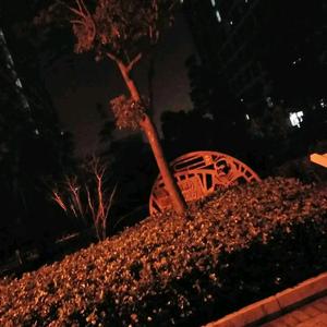 淡定风声 头像