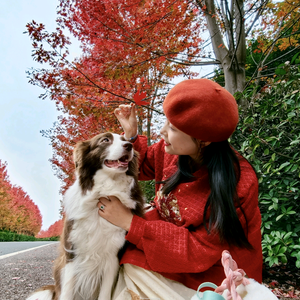 沈沈环游记 头像