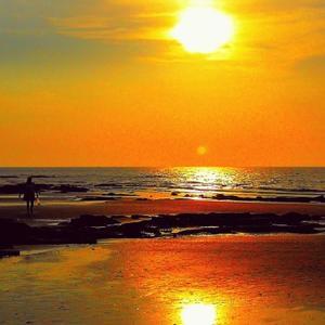 阳光天地人和 头像