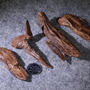 奇楠沉香研究 头像